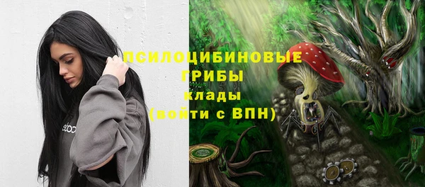 PSILOCYBIN Абдулино