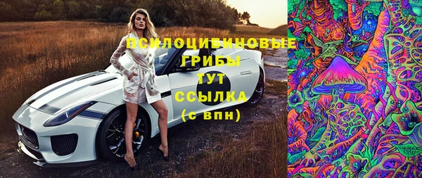 герыч Абаза