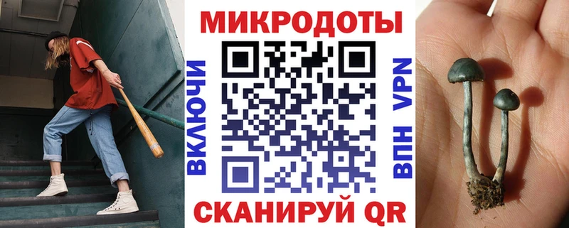 Галлюциногенные грибы ЛСД  omg рабочий сайт  Ядрин 