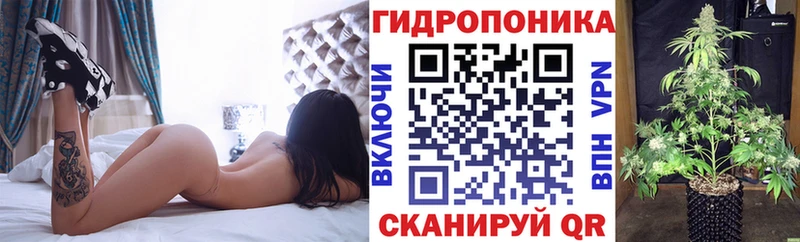 KRAKEN зеркало  Ядрин  Канабис ГИДРОПОН 